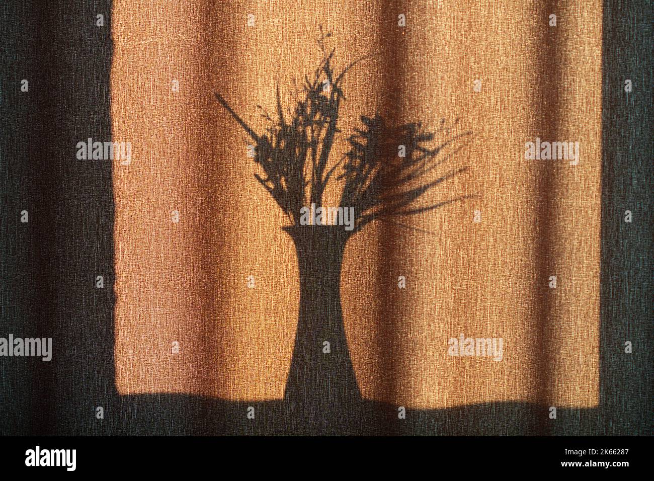 L'ombra di un vaso con fiori sulle tende. La silhouette nera di un vaso con un bouquet di fiori sullo sfondo di tessuto marrone Foto Stock