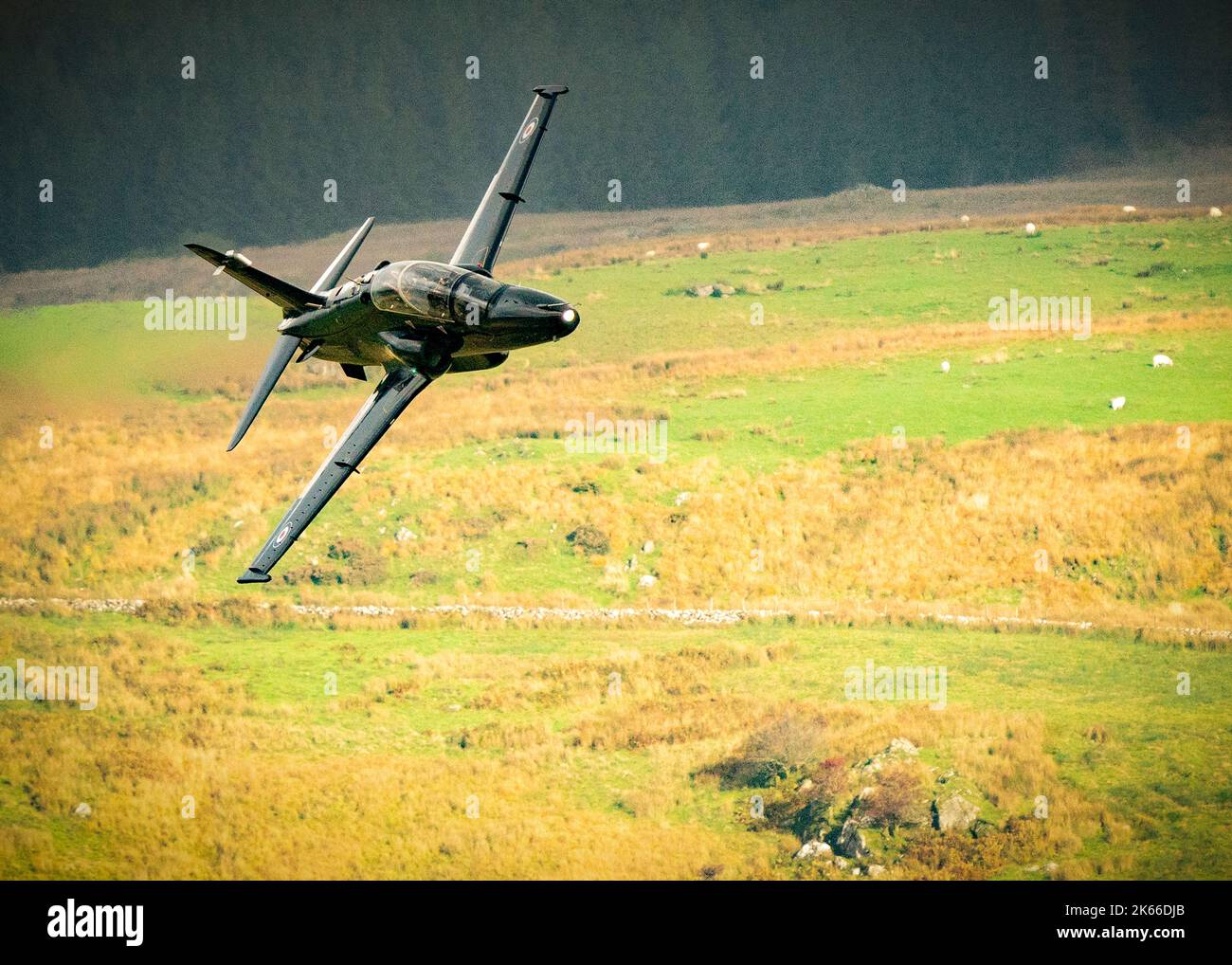BAE hawk jet trainer che vola a bassa quota sul Galles Foto Stock