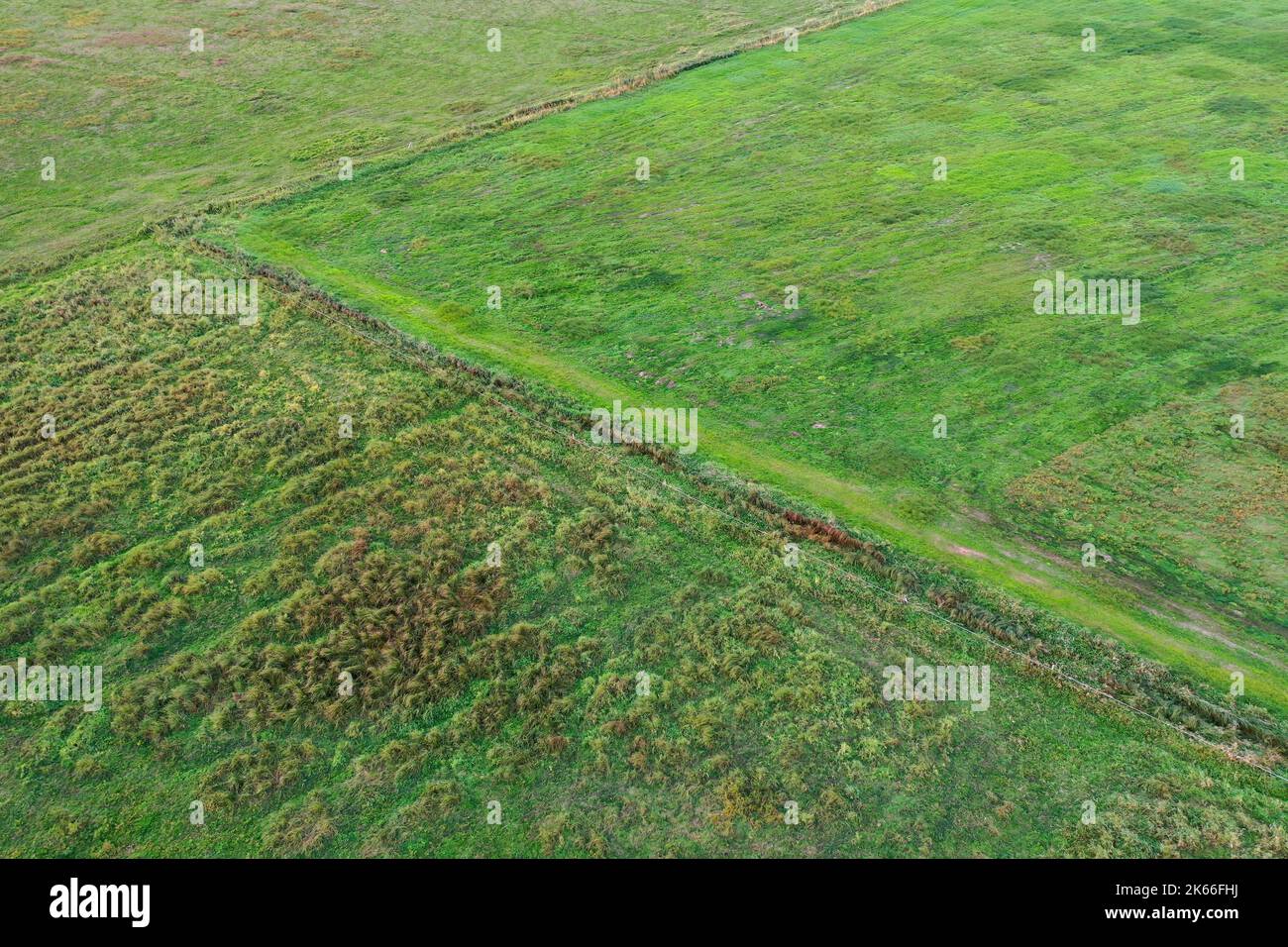 Duvenseer torbiera dopo un'estate secca all'inizio dell'autunno 2022, Germania, Schleswig-Holstein, Herzogtum-Lauenburg, Duvensee Foto Stock