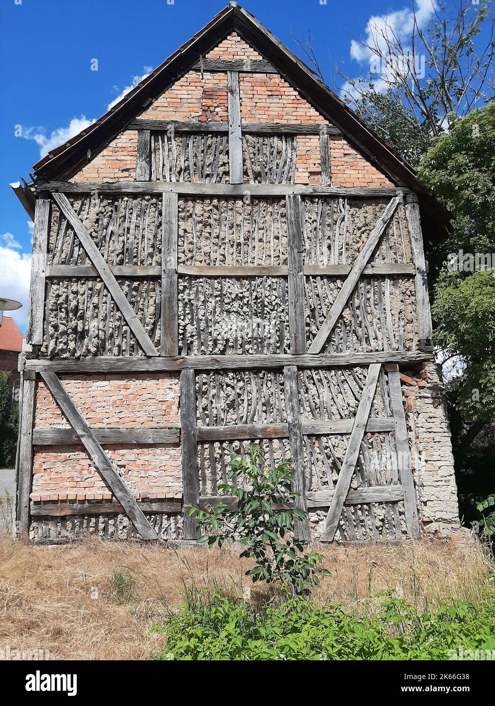 Estremità timpano di una casa a graticcio con pareti in argilla, Germania, Brandeburgo Foto Stock