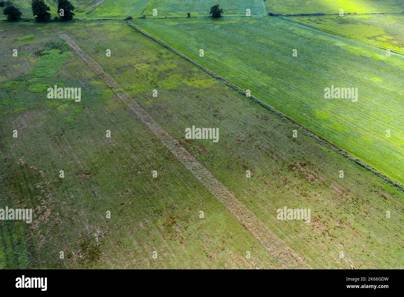 Prati al Koberg Moor, vista aerea, Germania, Schleswig-Holstein Foto Stock