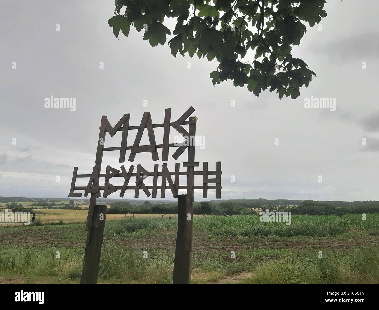 Informazioni al margine di un campo: Labirinto di mais, Germania, Brandeburgo Foto Stock