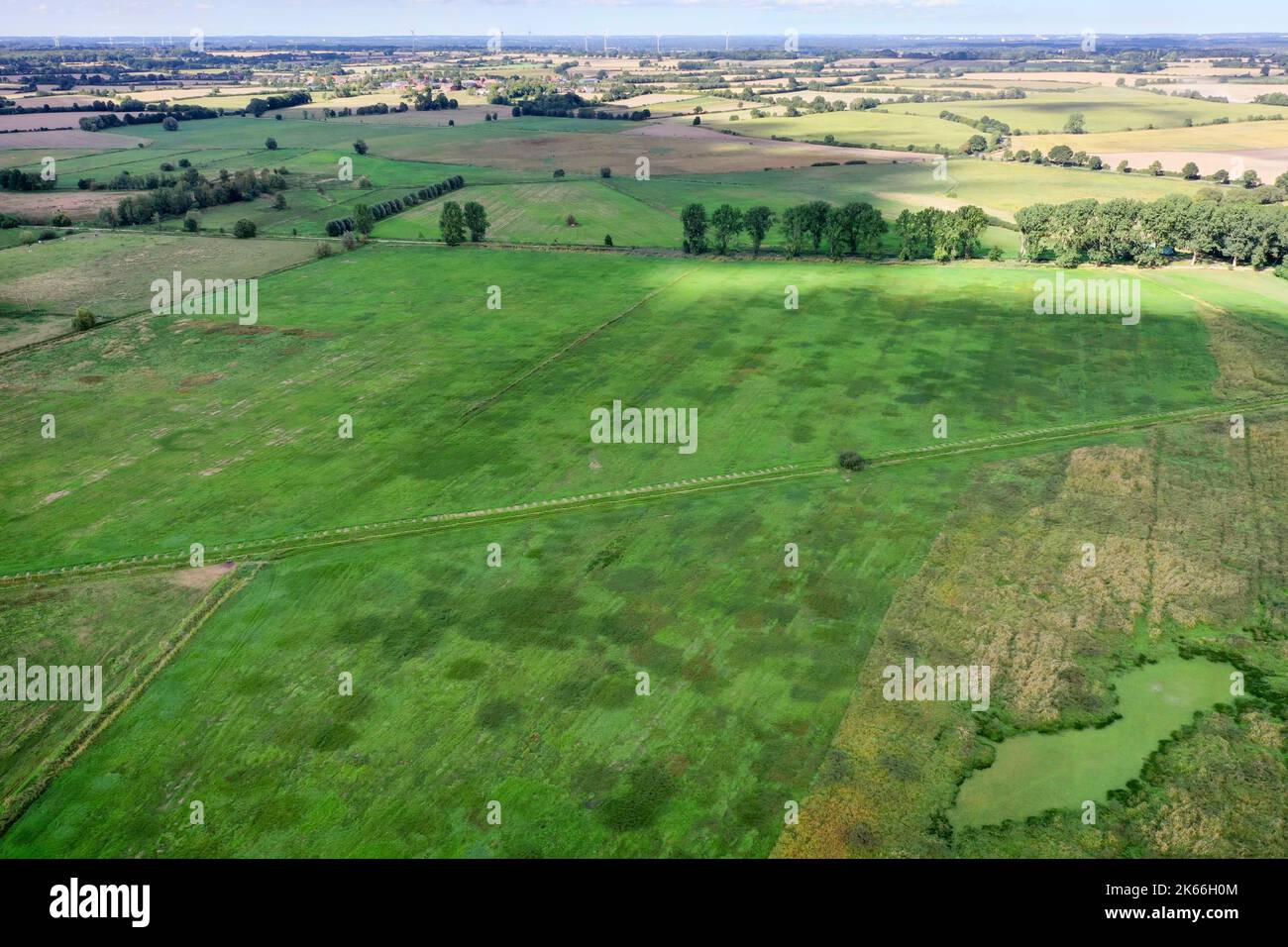 Duvenseer torbiera dopo un'estate secca all'inizio dell'autunno 2022, Germania, Schleswig-Holstein, Herzogtum-Lauenburg, Duvensee Foto Stock