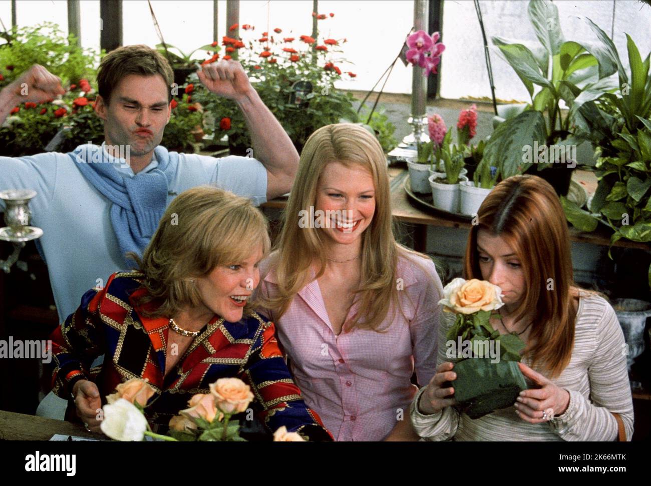 Il Seann William Scott, DEBORAH RUSH, gennaio JONES, Alyson Hannigan, AMERICAN WEDDING, 2003 Foto Stock