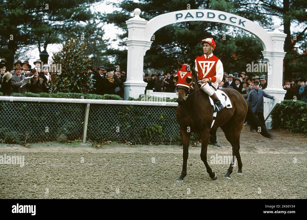 GARY STEVENS, SEABISCUIT, 2003 Foto Stock