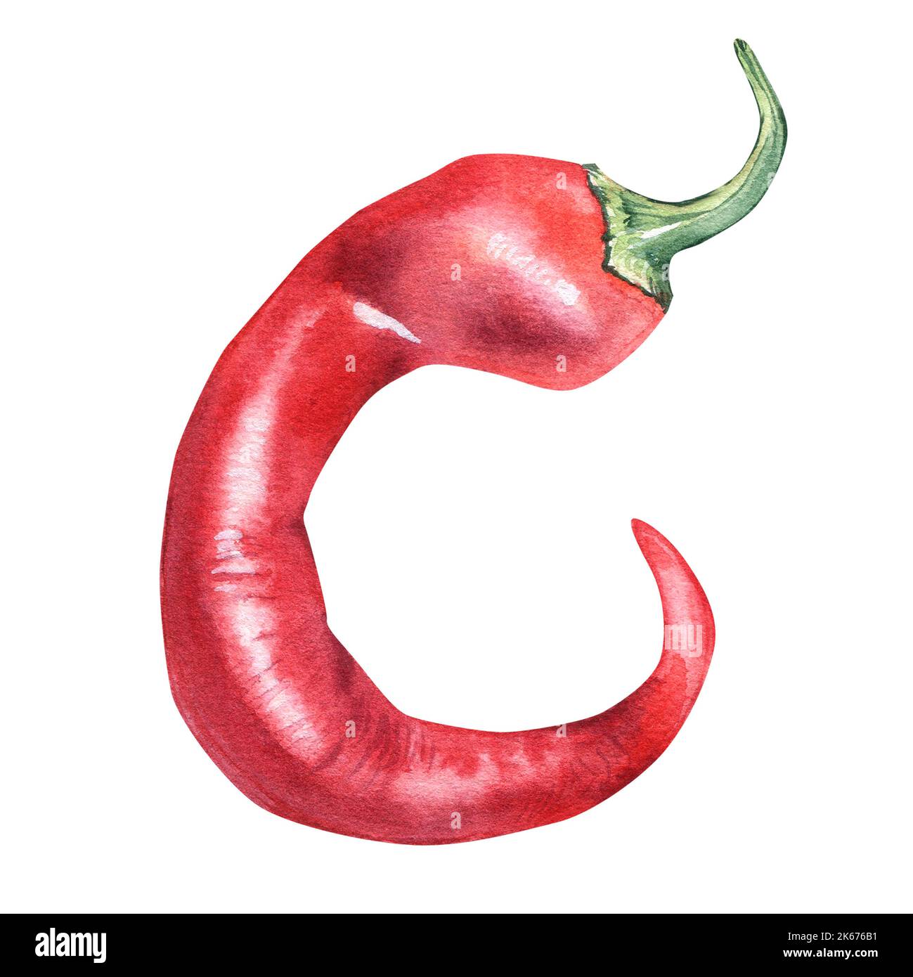 Illustrazione di acquerello al peperoncino rosso isolato su sfondo bianco. Pepe piccante estratto a mano. Elemento di design per confezionamento, menu, mercato, ingredi Foto Stock