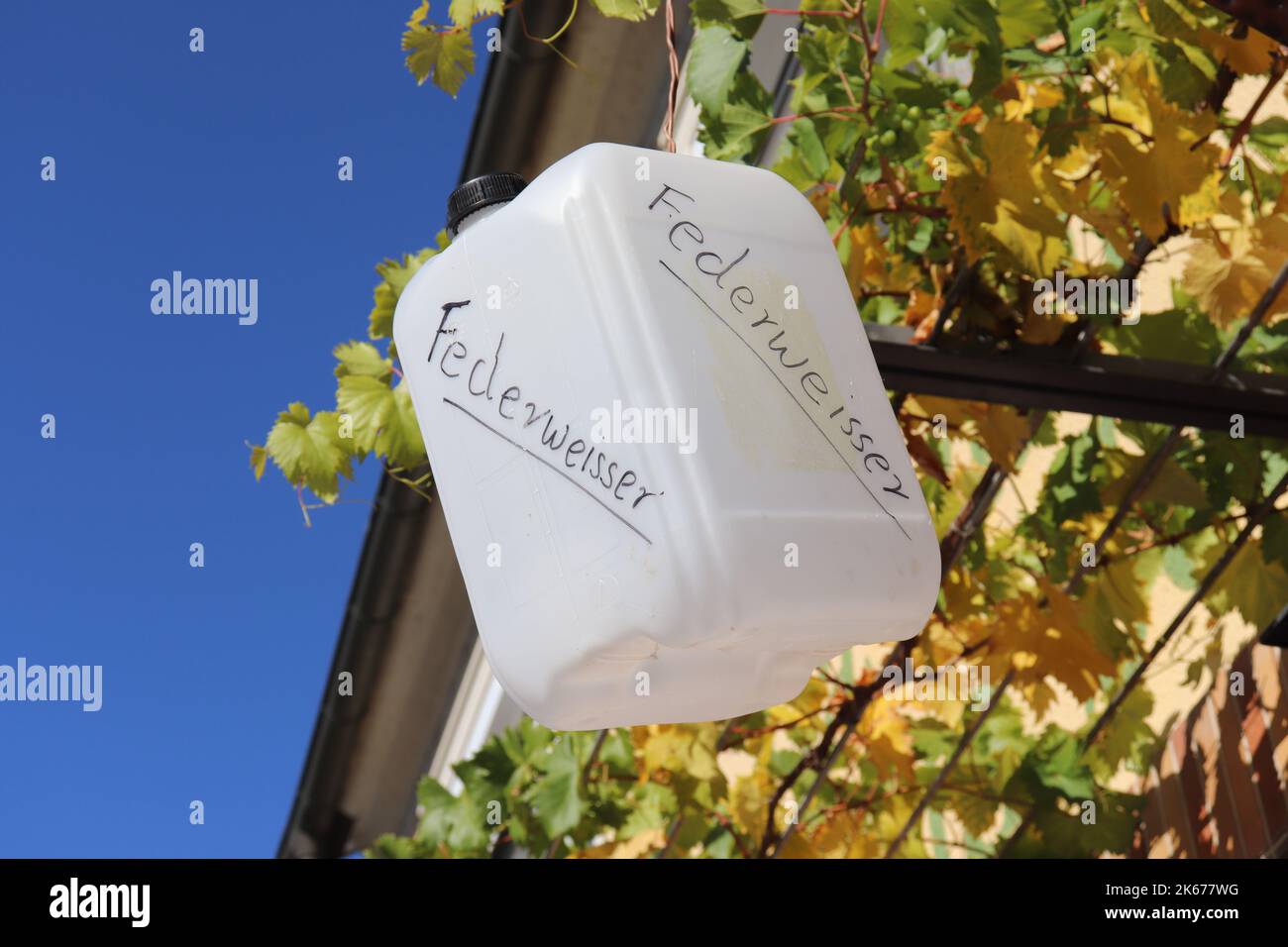 Verkauf von Federweißer bim Winzer Erzeuger - Schild Hinweis Zeichen als Kanister aufgehängt Foto Stock