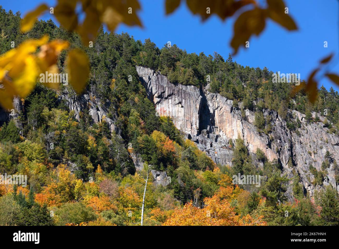 Mountain Cliff, autunno fogliame, Adirondacks, New York Foto Stock