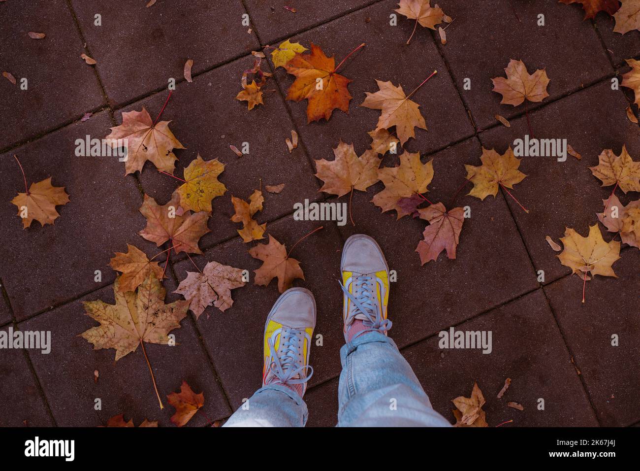 passeggiata autunnale in una città in sneakers Foto Stock