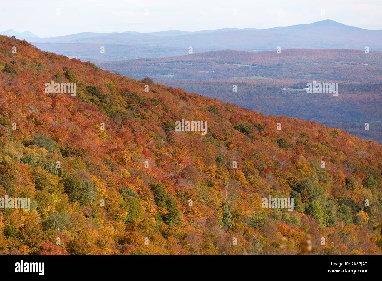 Autunno fogliame paesaggio, Norther Vermont Foto Stock