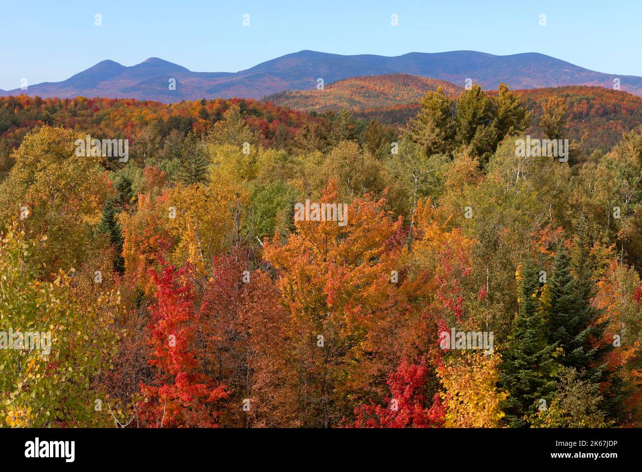 Caduta delle foglie, White Mountain National Forest, New Hampshire Foto Stock