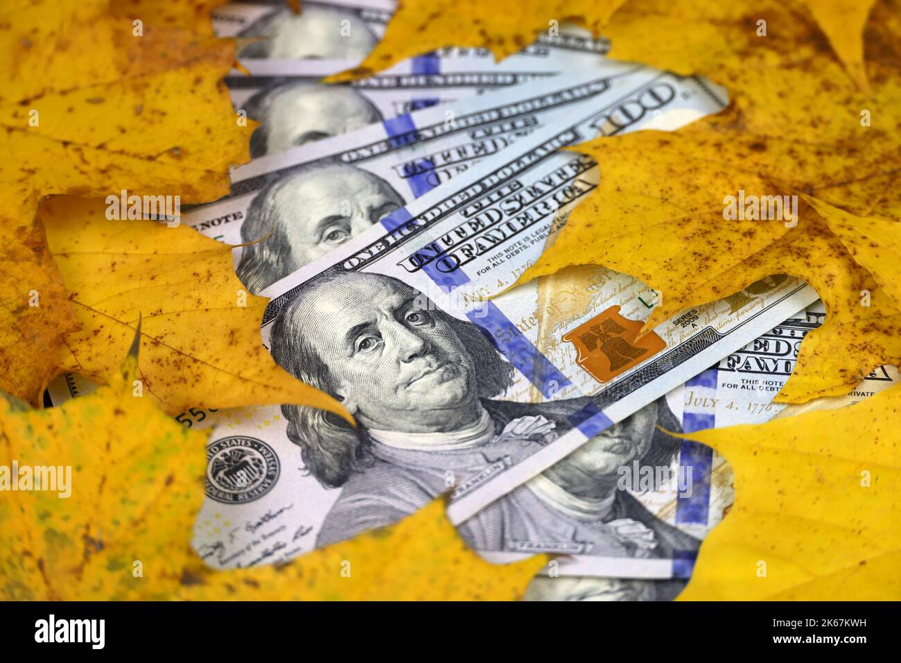 Banconote IN dollari USA coperte con foglie di acero giallo. Economia americana in autunno, tasso del dollaro Foto Stock