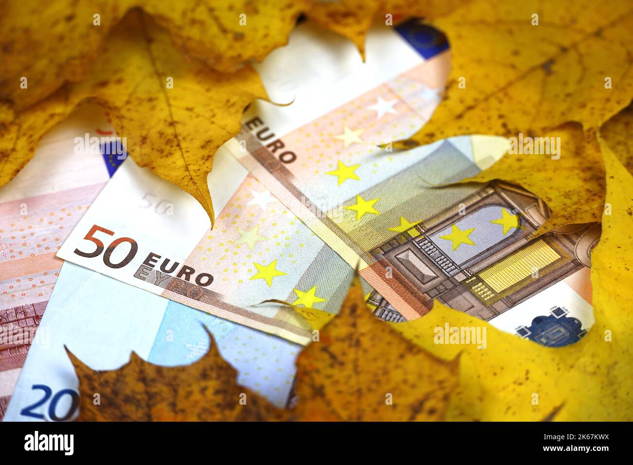 Banconote in euro coperte con foglie di acero arancione. Economia dell'Europa in autunno, tasso di cambio Foto Stock