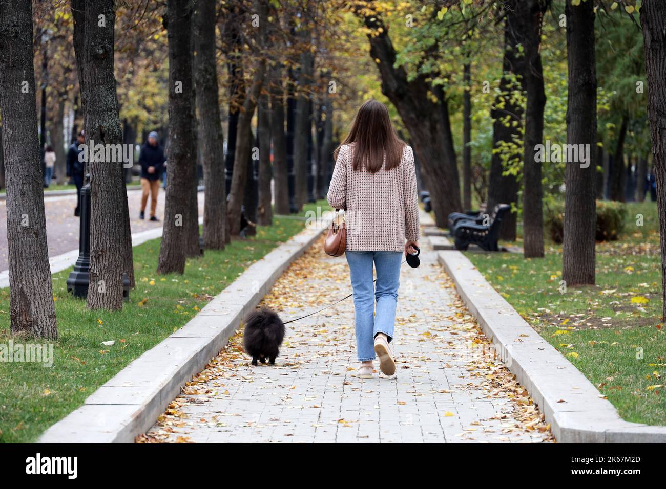 Ragazza in giacca e jeans cane da passeggio nel parco autunnale. Animali domestici ammessi, tempo libero in città Foto Stock