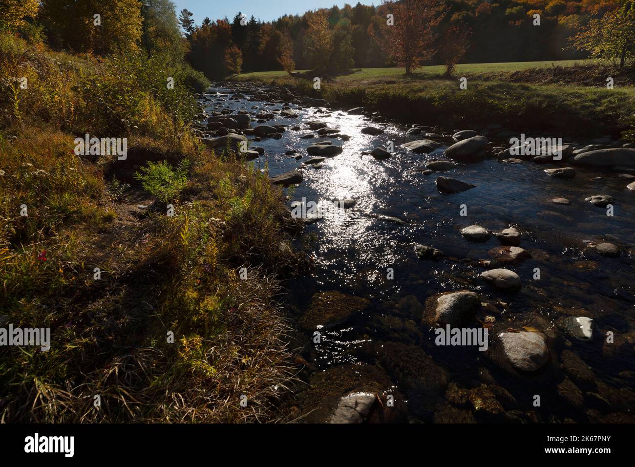 Ruscello caduta fogliame, White Mountain National Forest, New Hampshire Foto Stock