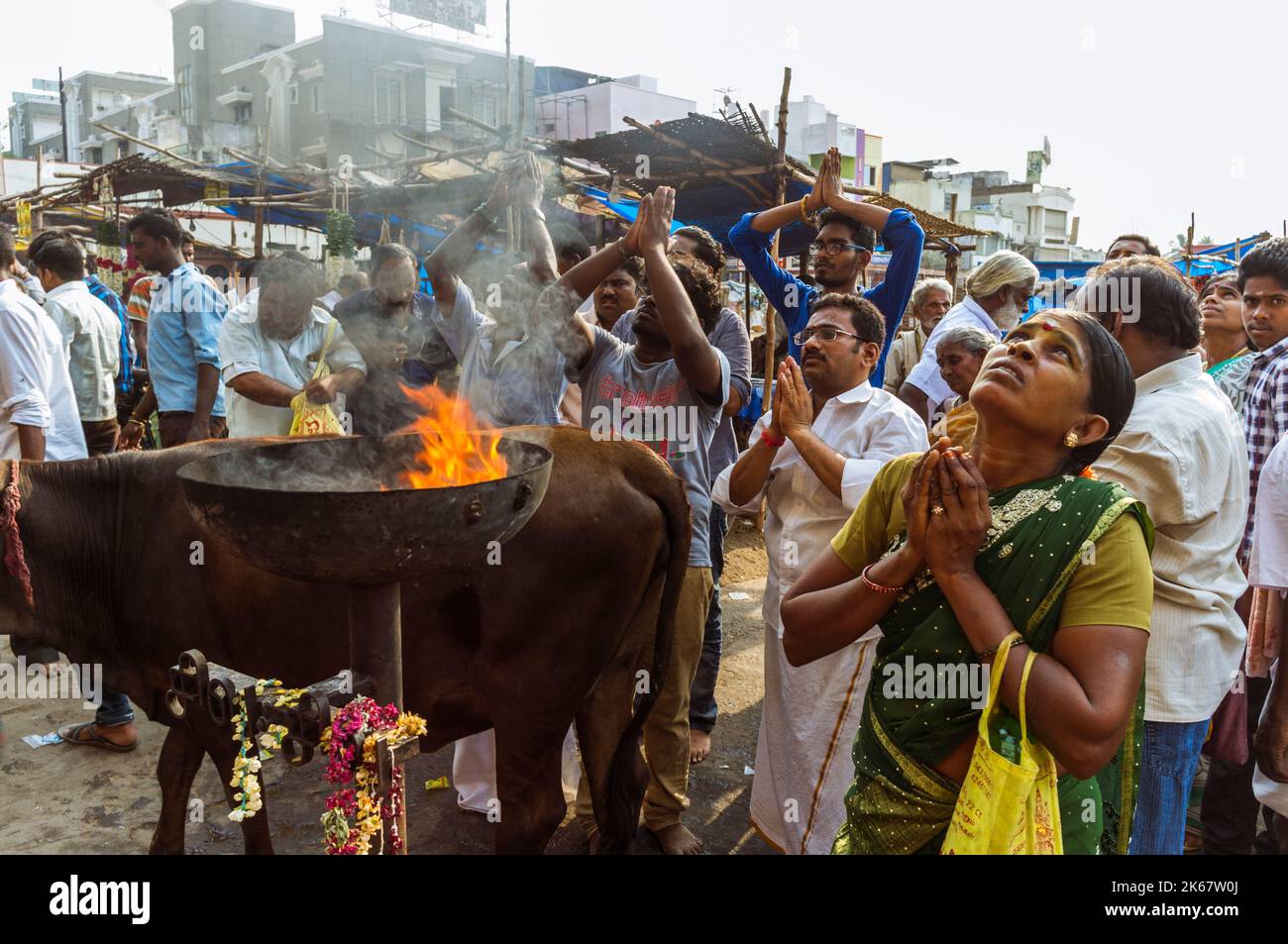Tiruvannamalai, Tamil Nadu, India : i devoti pregano fuori del tempio di Annamalaiyar, uno dei cinque luoghi sacri principali di Shaiva in India associati al fi Foto Stock