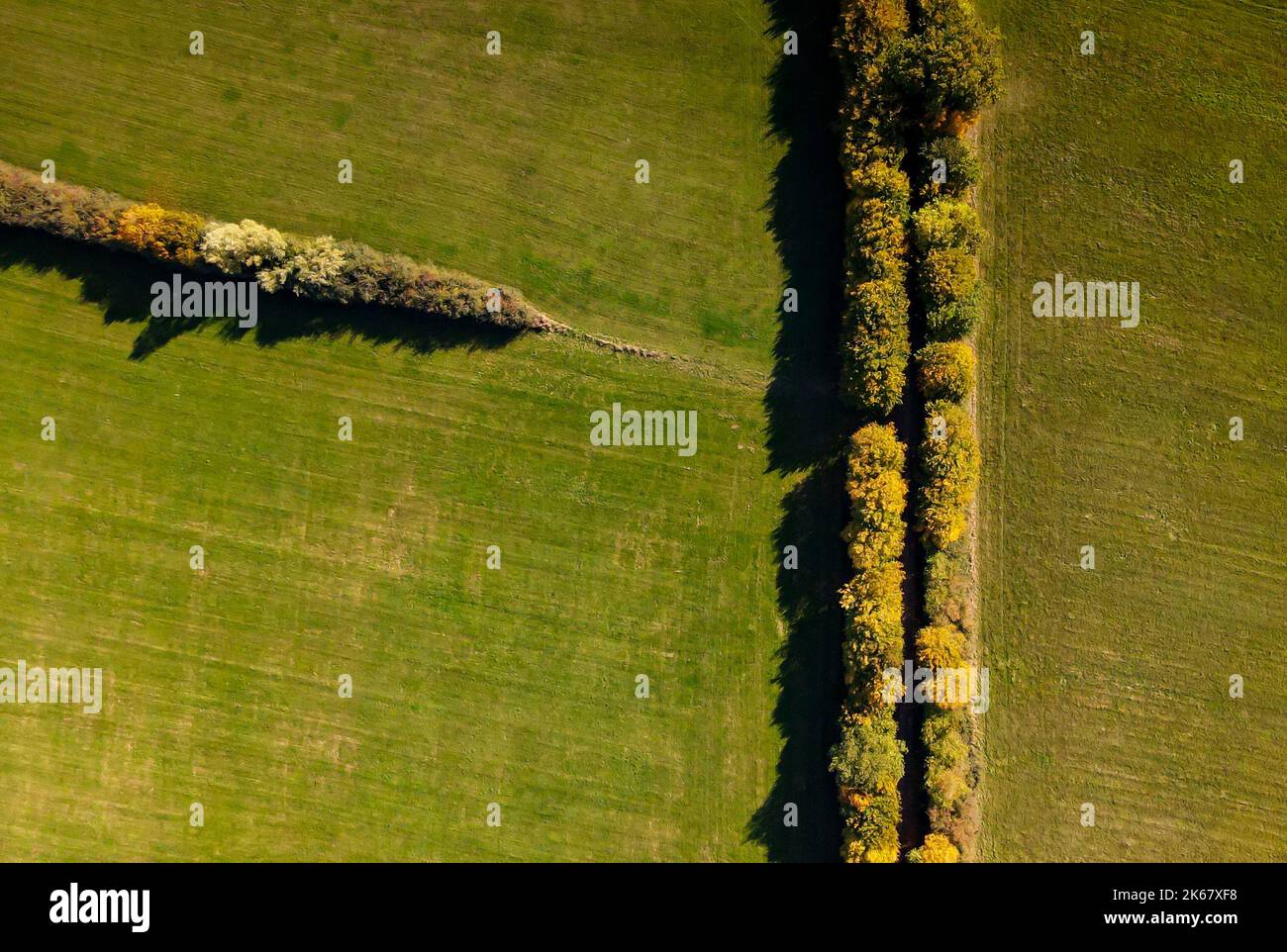 Il sole splende su un paesaggio in autunno Foto Stock