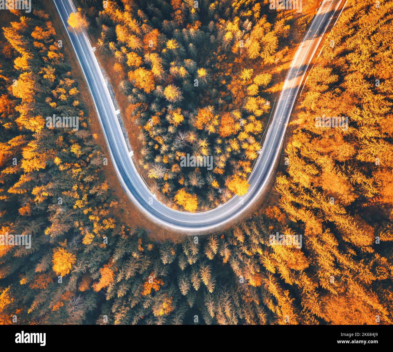 Veduta aerea della strada tortuosa con auto in una colorata foresta autunnale Foto Stock