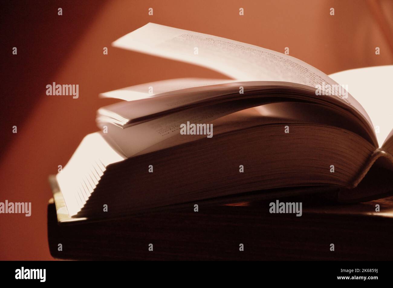 aprire le pagine bianche del libro Foto Stock