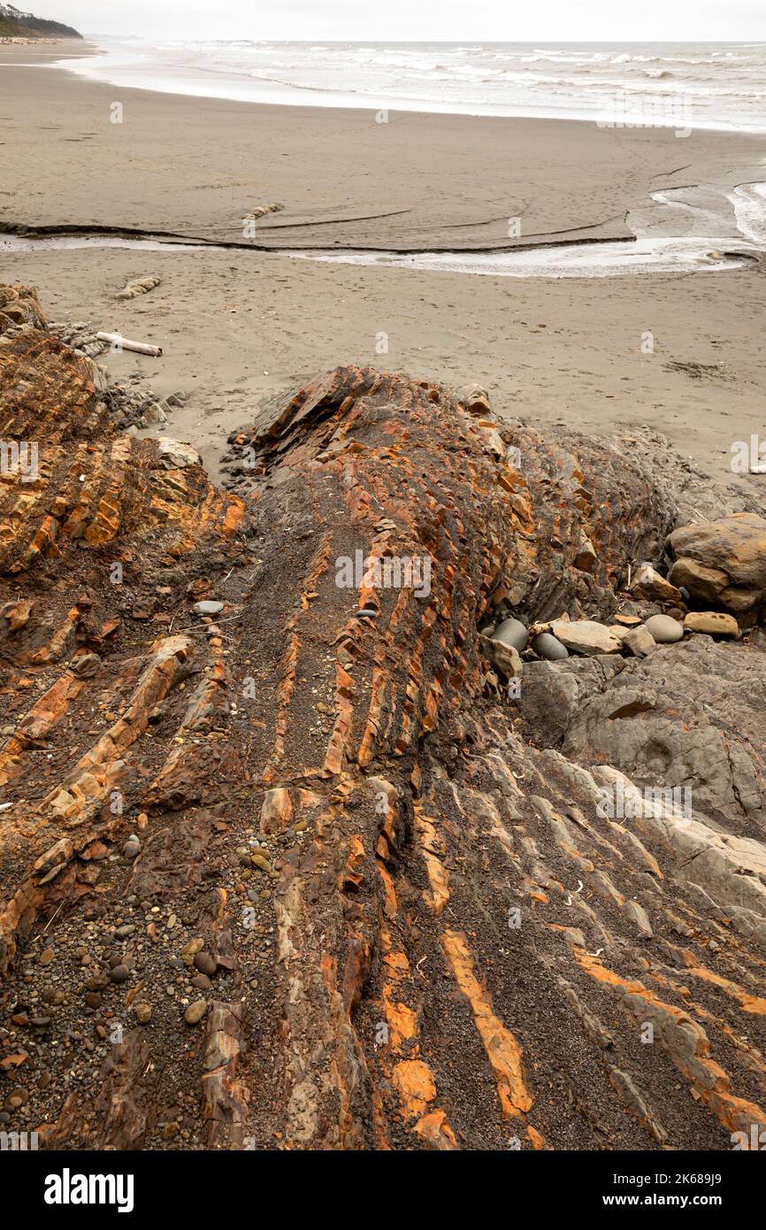 WA22203-00...WASHINGTON - la colorata roccia stratificata fa parte del promontorio all'estremità settentrionale di Kalaloch Beach nel Parco Nazionale Olimpico. Foto Stock