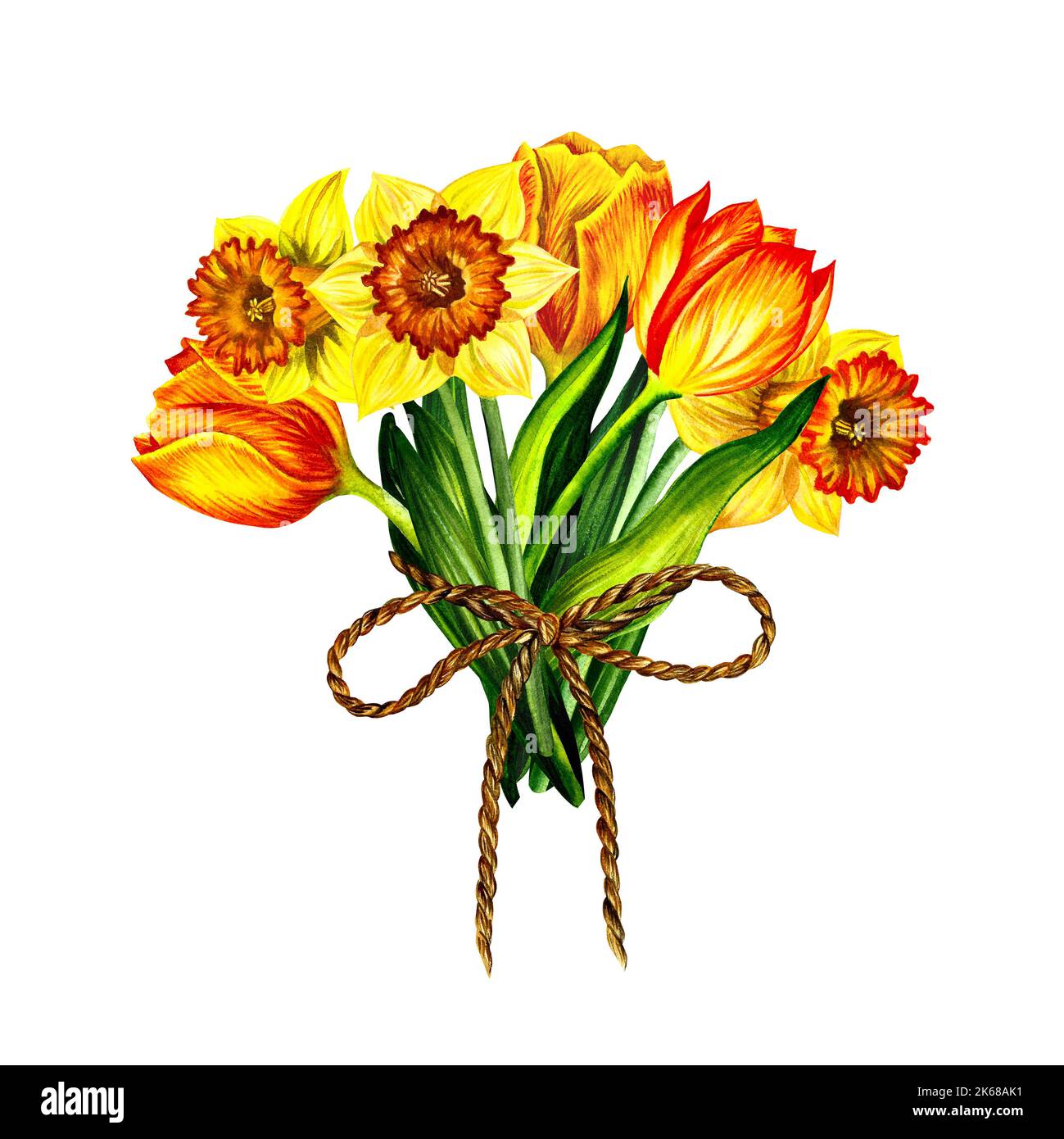 Bouquet di tulipani e narcisi di fiori gialli. Isolare su sfondo bianco. Illustrazione acquerello. Per biglietti d'auguri, per stampe, adesivi Foto Stock