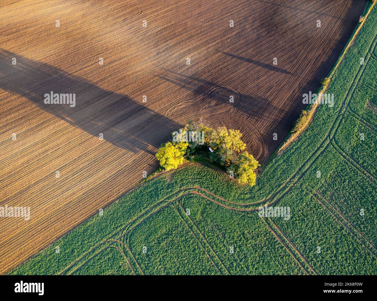 Autunno terreni agricoli e alberi in Moravia ceca visto dall'alto, modelli e linee sul terreno, fotografia drone Foto Stock