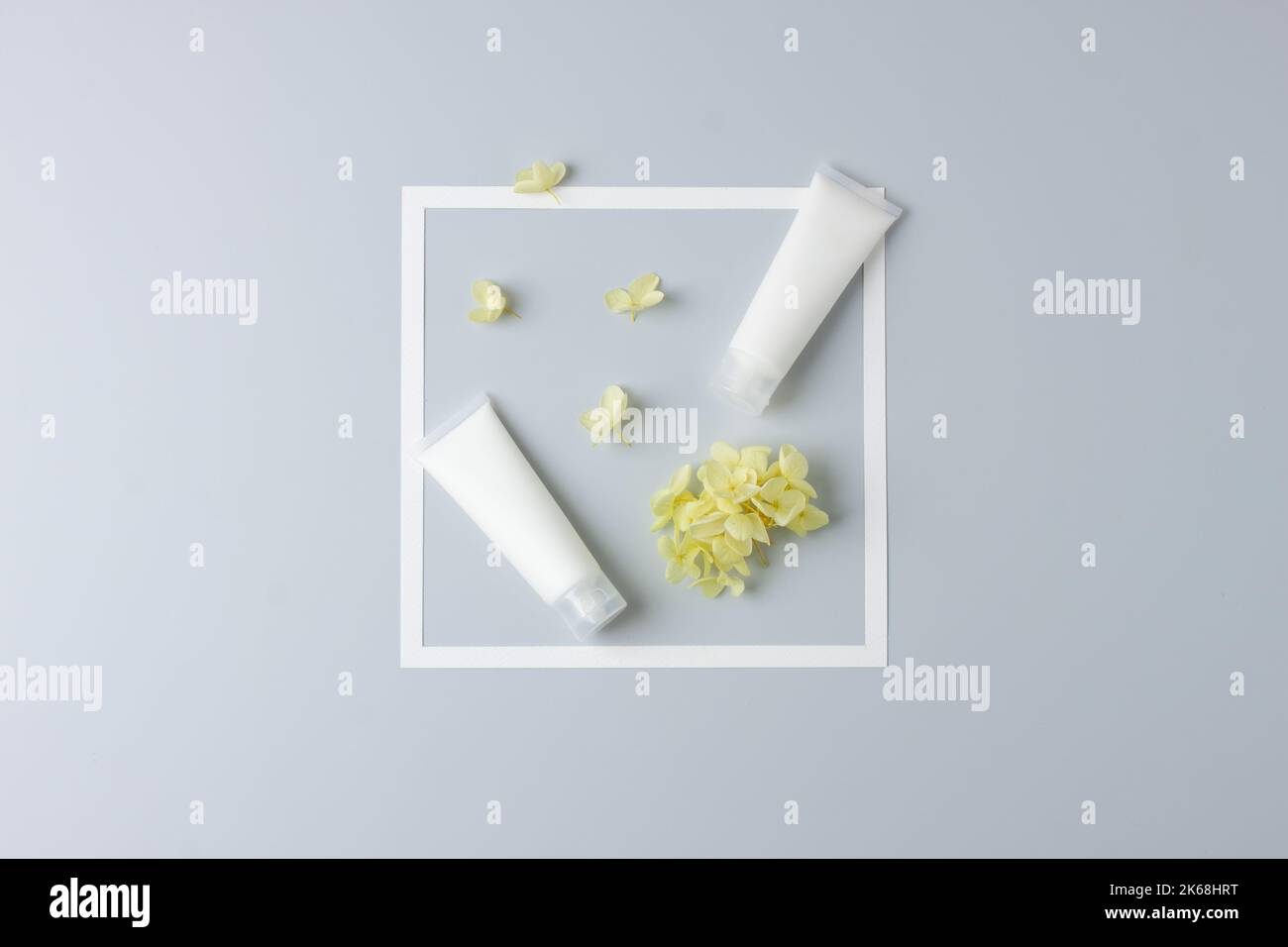 Tubi bianchi di crema cosmetica con cornice bianca e fiori su sfondo grigio. Giacitura piatta, spazio di copia Foto Stock Tubi bianchi di crema cosmetica con cornice bianca e fiori su sfondo grigio. Giacitura piatta, spazio di copia Foto Stock