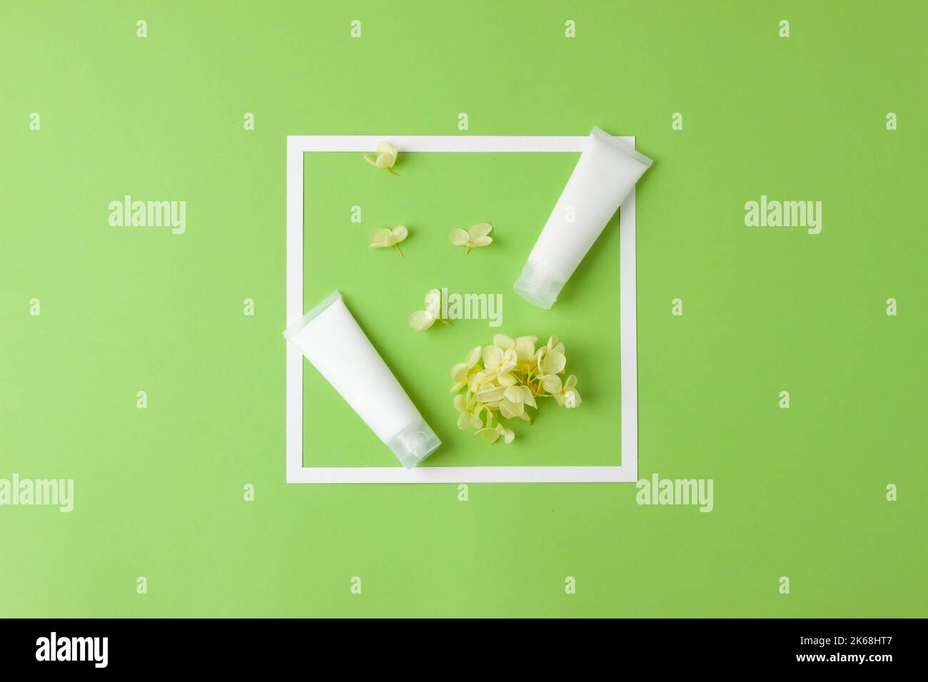 Tubi bianchi di crema cosmetica con cornice bianca e fiori su sfondo verde. Giacitura piatta, spazio di copia Foto Stock Tubi bianchi di crema cosmetica con cornice bianca e fiori su sfondo verde. Giacitura piatta, spazio di copia Foto Stock