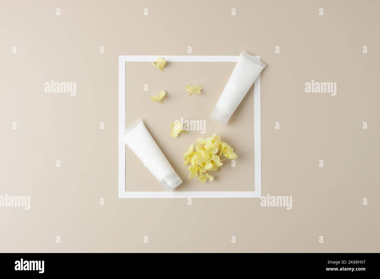 Tubi bianchi di crema cosmetica con cornice bianca e fiori su sfondo beige pastello. Giacitura piatta, spazio di copia Foto Stock Tubi bianchi di crema cosmetica con cornice bianca e fiori su sfondo beige pastello. Giacitura piatta, spazio di copia Foto Stock