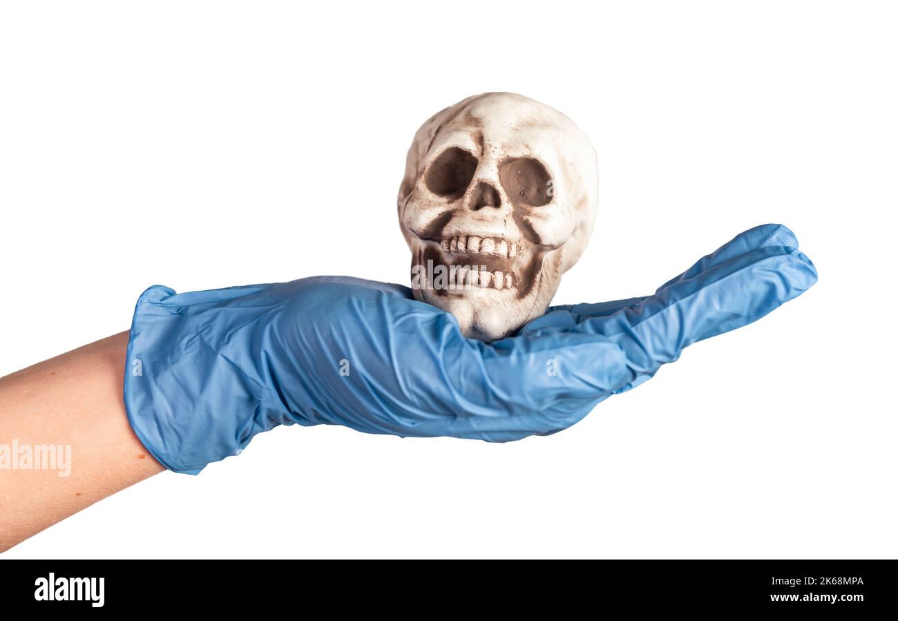 Cranio, testa ossa a mano del medico primo piano, isoalted su sfondo bianco. Foto di alta qualità Foto Stock