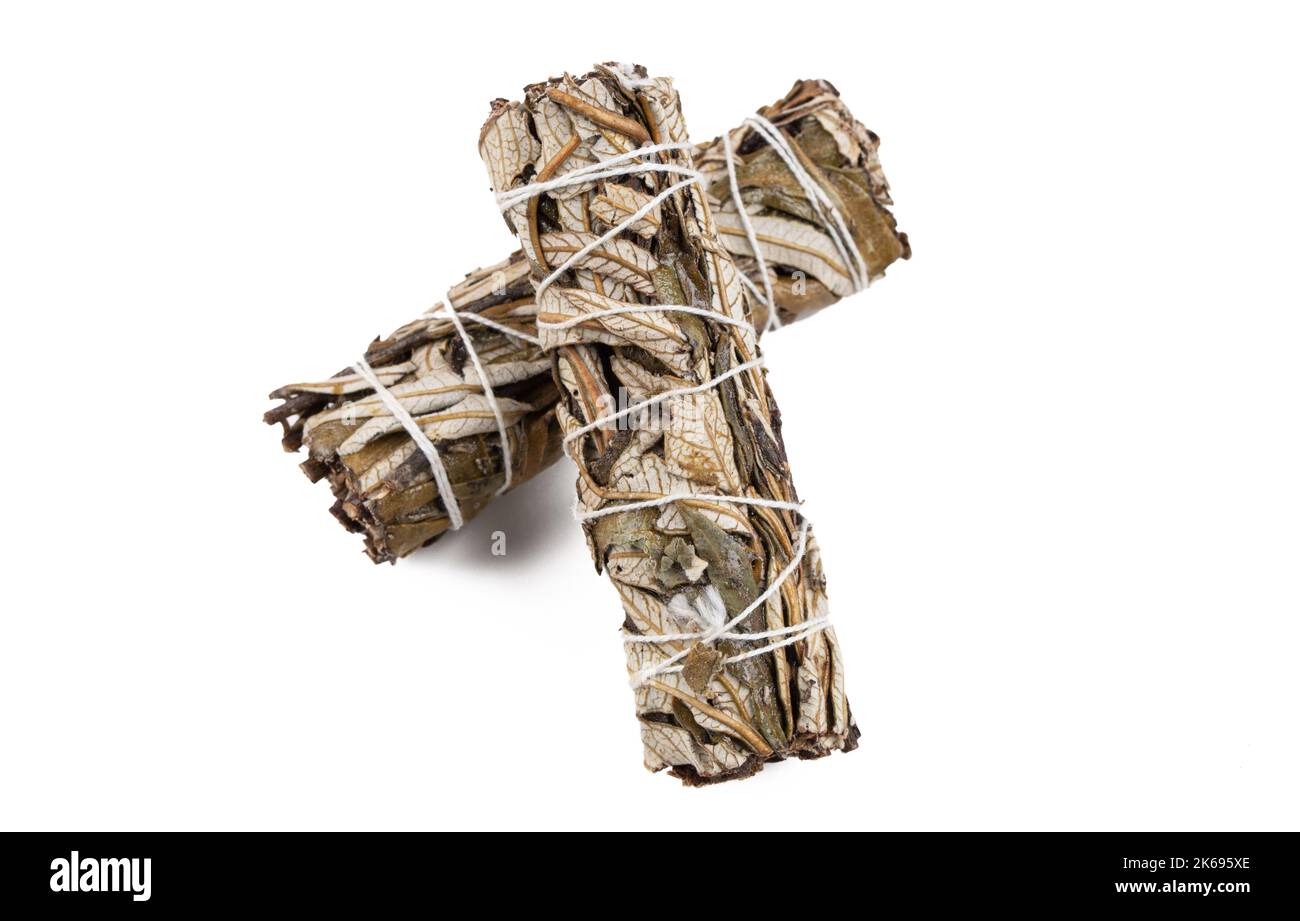 Due bastoncini di Yerba santa isolati su sfondo bianco Foto Stock