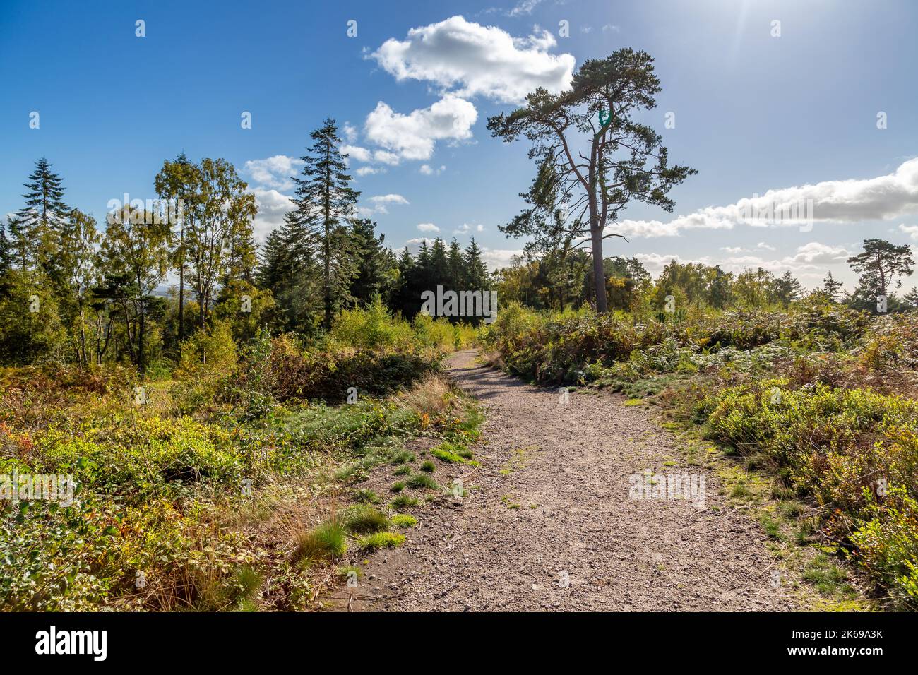 Viste panoramiche della campagna di Lickey Hills in autunno. Foto Stock