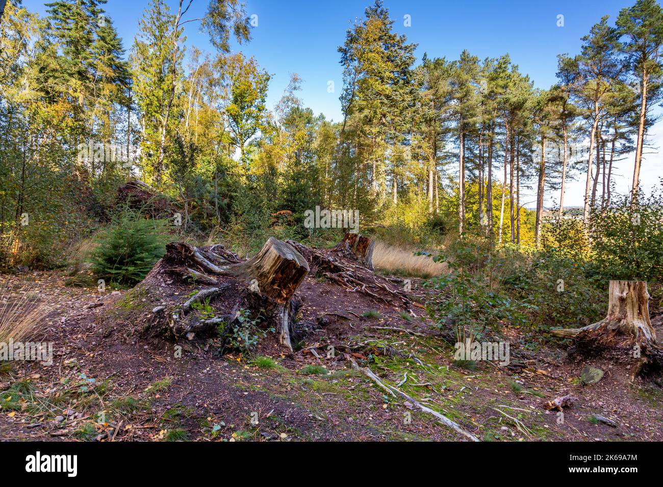 Viste panoramiche della campagna di Lickey Hills in autunno. Foto Stock
