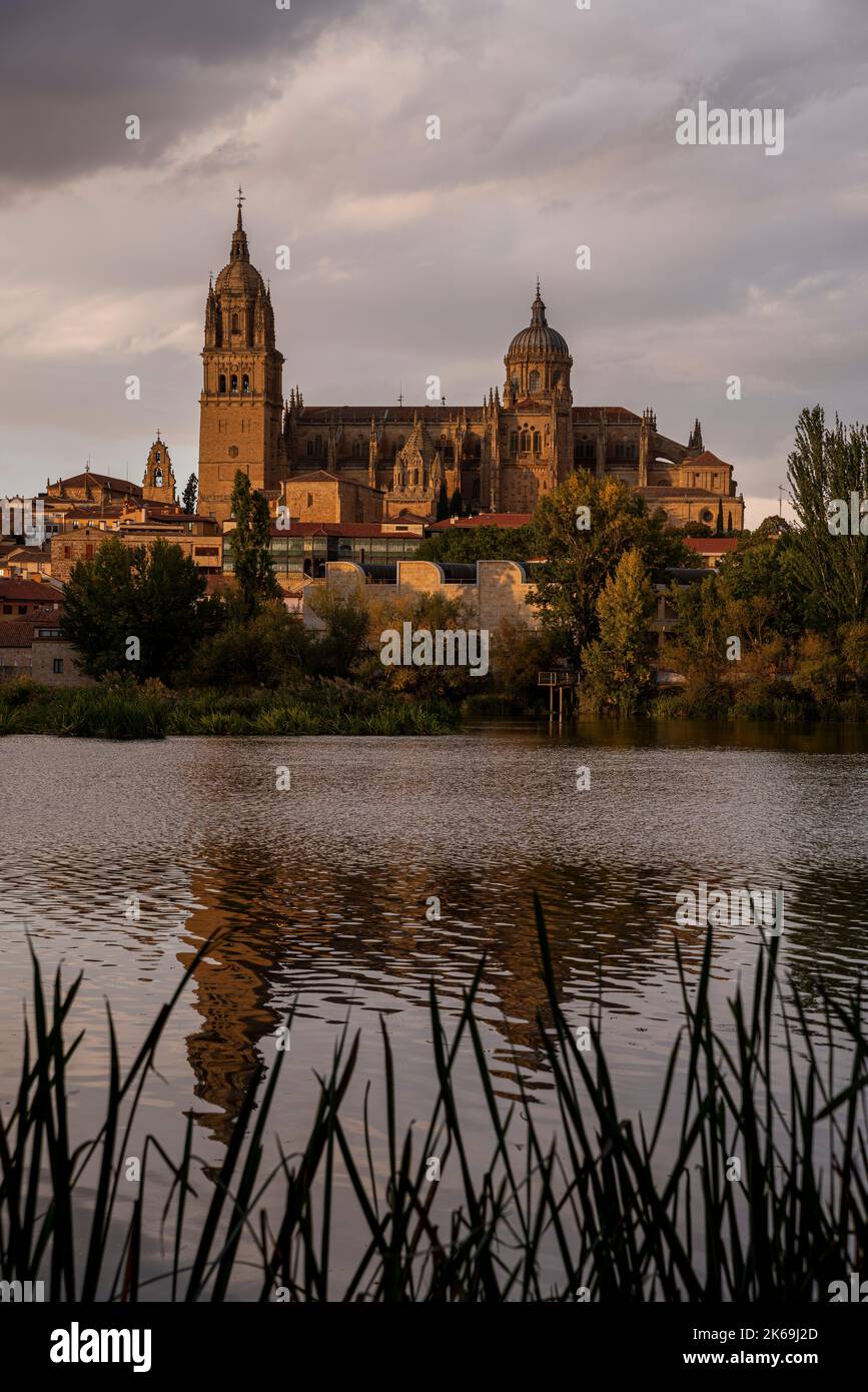 catedral de Salamanca reflejada en el Tormes Foto Stock