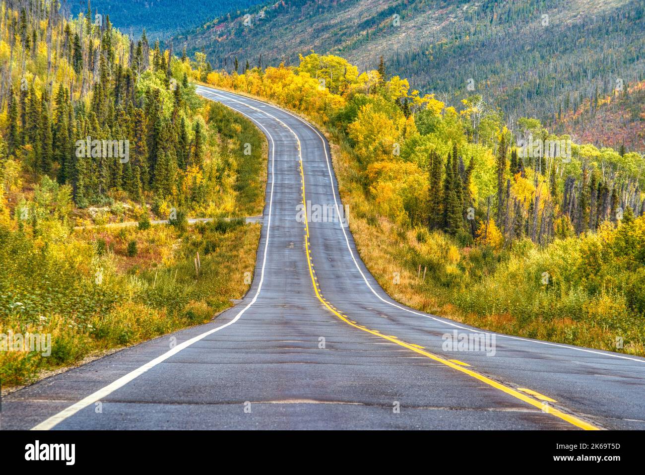 Ammira l'autostrada Steese nella natura selvaggia dell'autunno vicino a Fairbanks, Alaska Foto Stock
