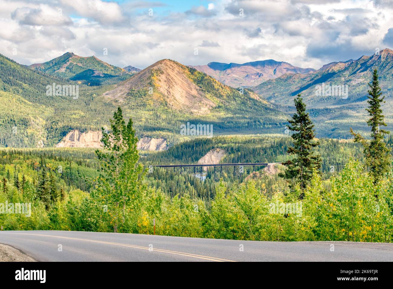 Alaska Railroad ponte sul Riley Creek nelle montagne del Denali National Park Foto Stock
