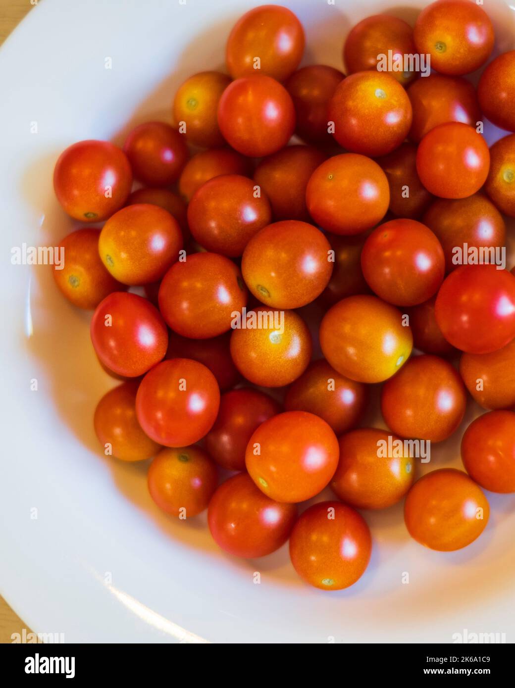 Pomodori ciliegini anche noti come pomodori d'uva. Cresciuto in casa. Indeterminato, cultivar ibrido. Varietà Super Sweet 100. Kansas, Stati Uniti. Foto Stock