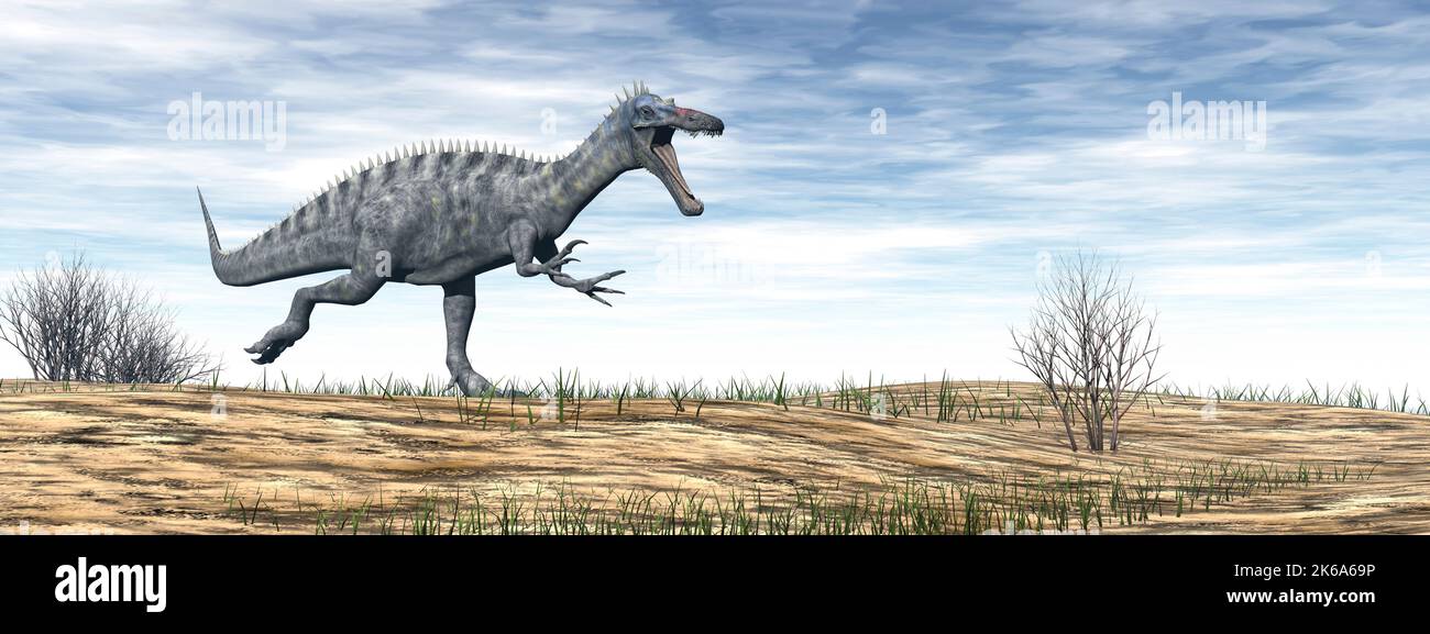 Dinosauro Suchomimus che cammina nel deserto di giorno. Foto Stock