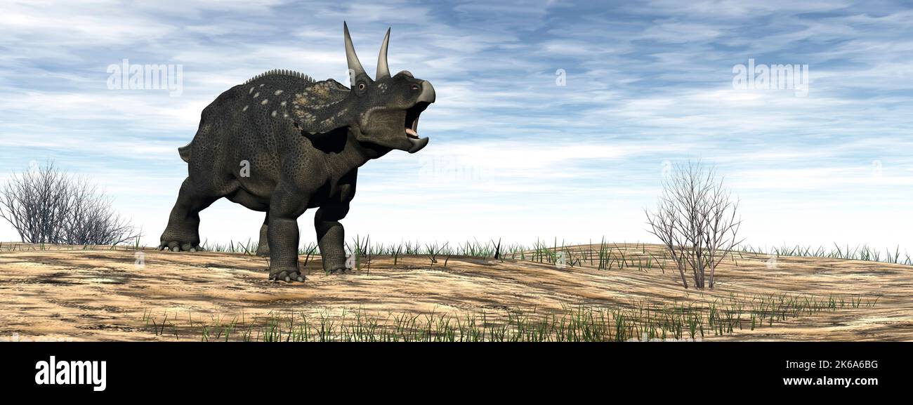 Il dinosauro Nedoceratops ruggito nel deserto di giorno. Foto Stock