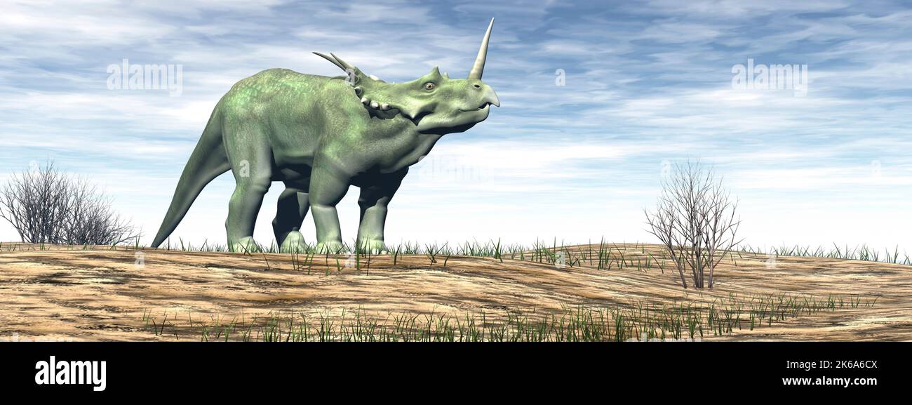 Dinosauro Styracosaurus camminando nel deserto di giorno. Foto Stock