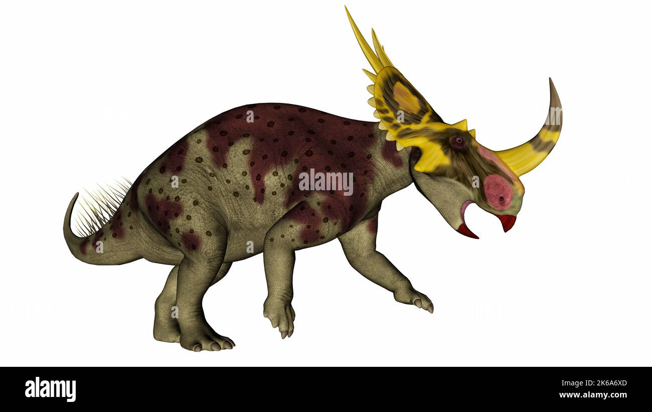 Rubeosaurus dinosauro ruggente e ruggente, isolato su sfondo bianco. Foto Stock