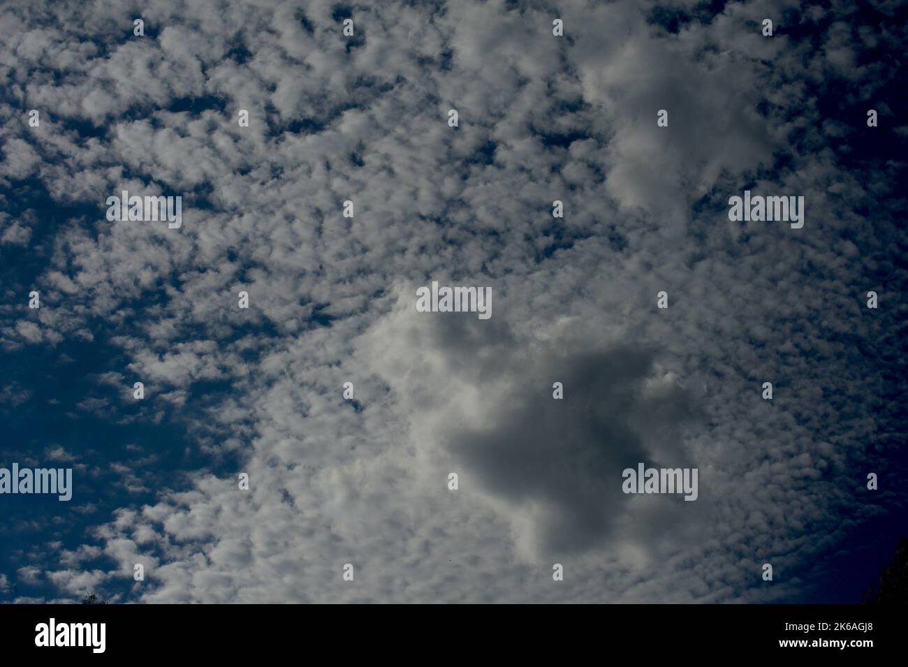 Trovo le nuvole affascinanti - le loro forme e sfumature che cambiano all'infinito rendono sempre interessante il cielo. Le nuvole di Cumulus sono il tipo più comune. Foto Stock