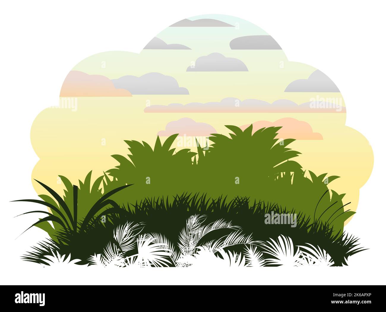 Alba mattina. Giungla foresta pluviale. Natura paesaggio silhouette. Fitti ispessimenti tropicali. Isolato su sfondo bianco. Vettore. Illustrazione Vettoriale