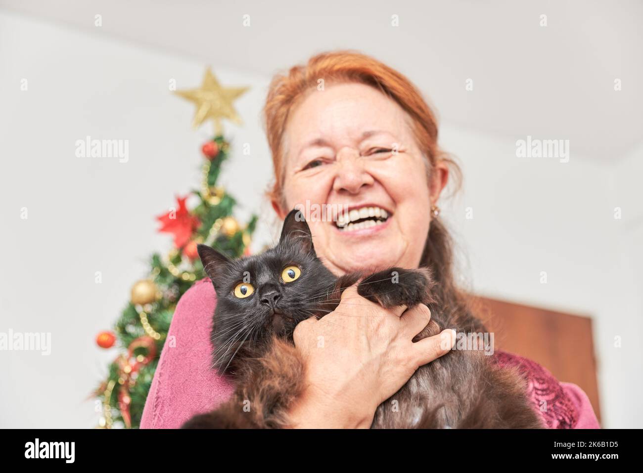 Donna Happy Hispanic matura sorridente in generale come lei tiene il suo gatto carino, nella sua casa, durante il Natale. Messa a fuoco selettiva sul viso dell'animale domestico. Foto Stock