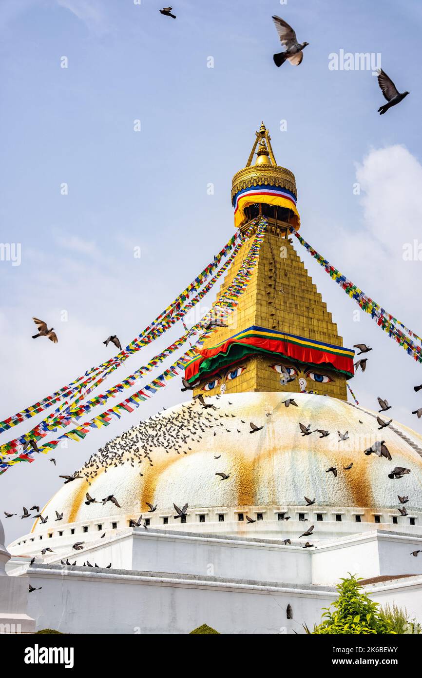 Un colpo verticale degli uccelli che volano sopra lo Stupa di Boudhanath e il tempiale in Kathmandu Nepal Foto Stock