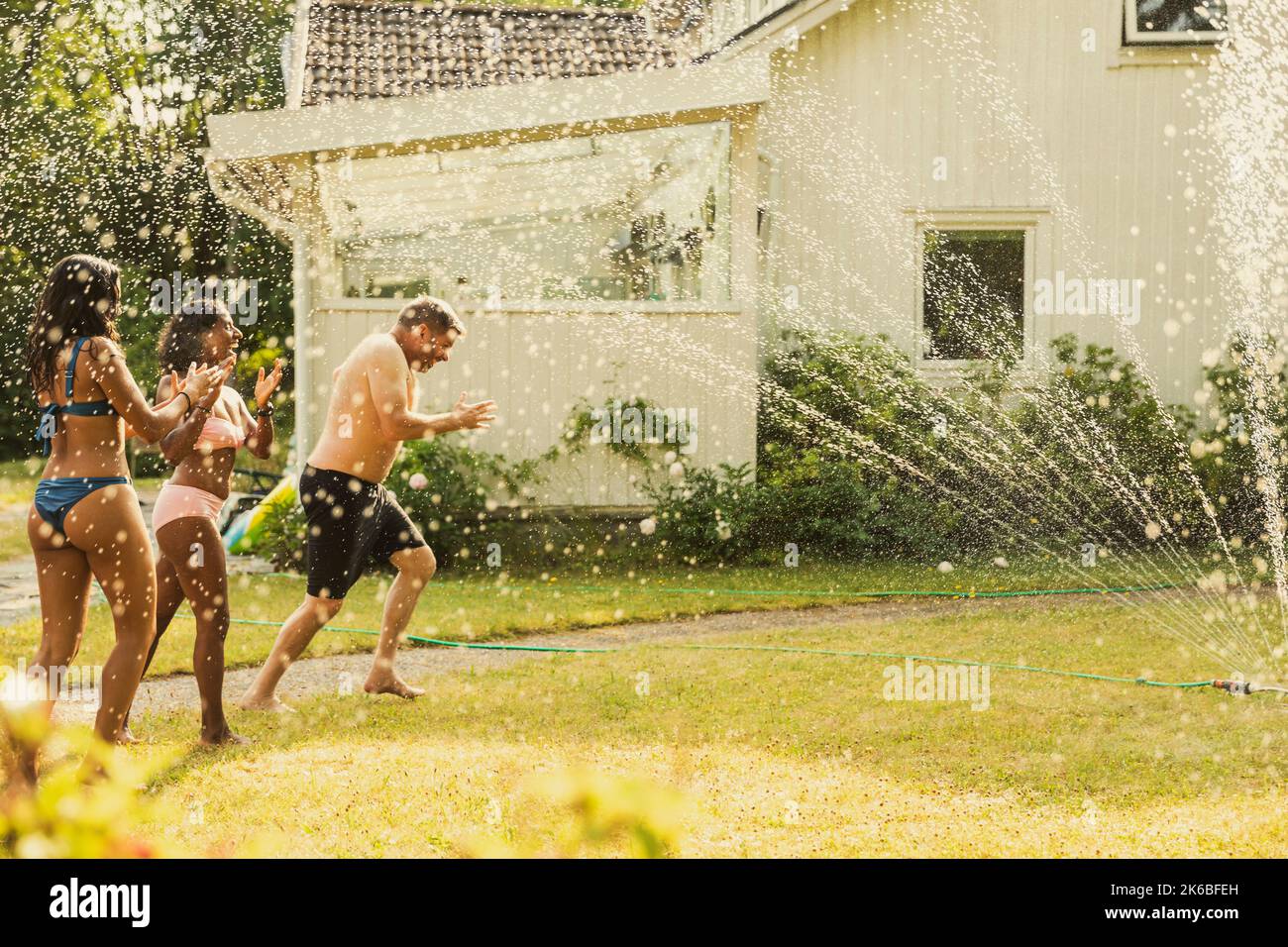 La famiglia si diverge in acqua attraverso l'irrigatore nel cortile posteriore durante le vacanze Foto Stock