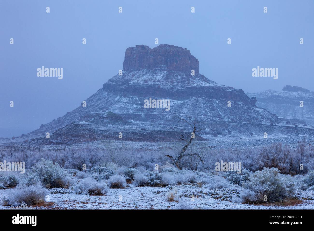 Una tempesta di neve d'inverno copre il vegetaion di fronte al butte di arenaria vicino a Moab, Utah. Foto Stock