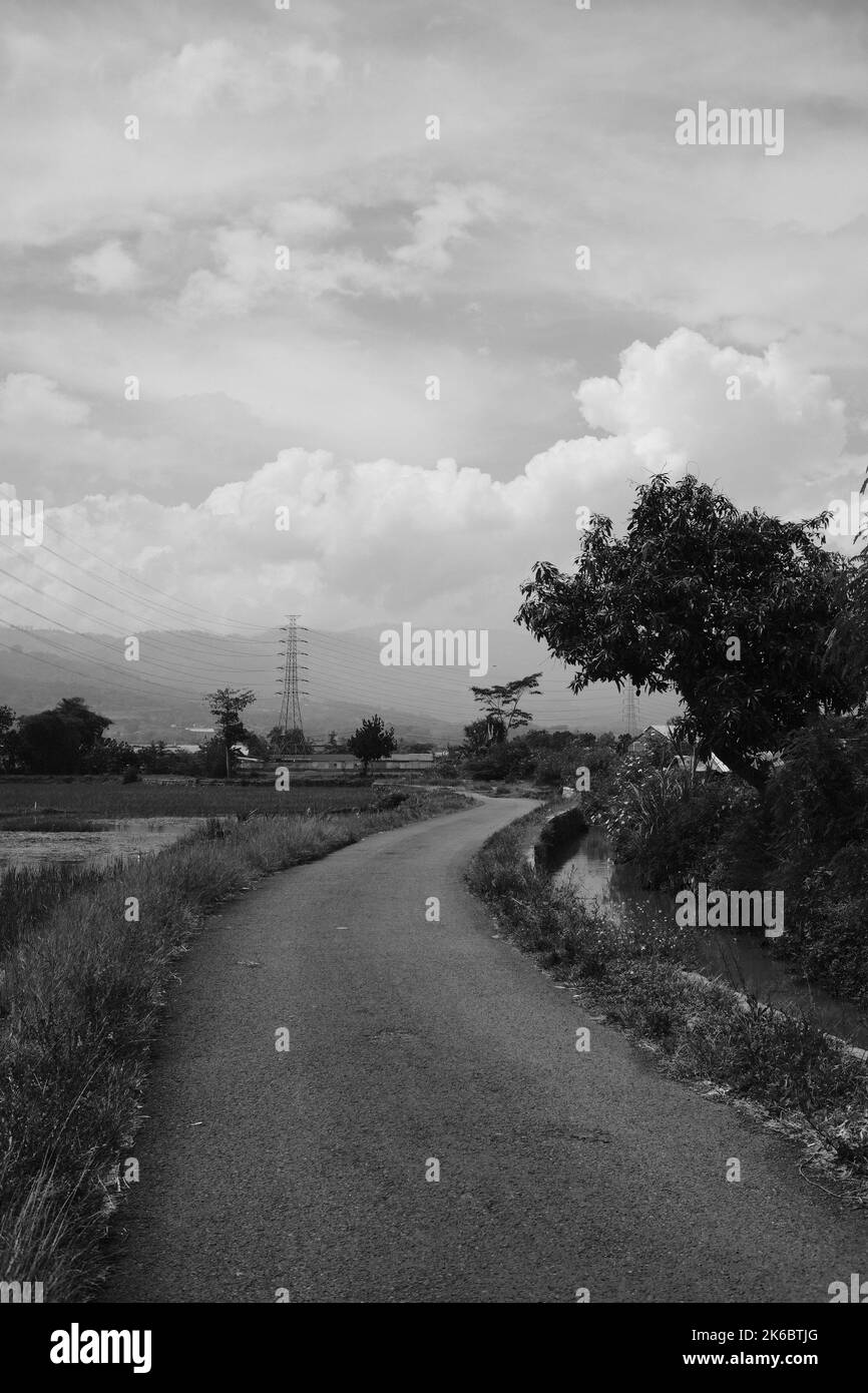 Foto monocromatiche, piccole strade circondate da vaste risaie Foto Stock