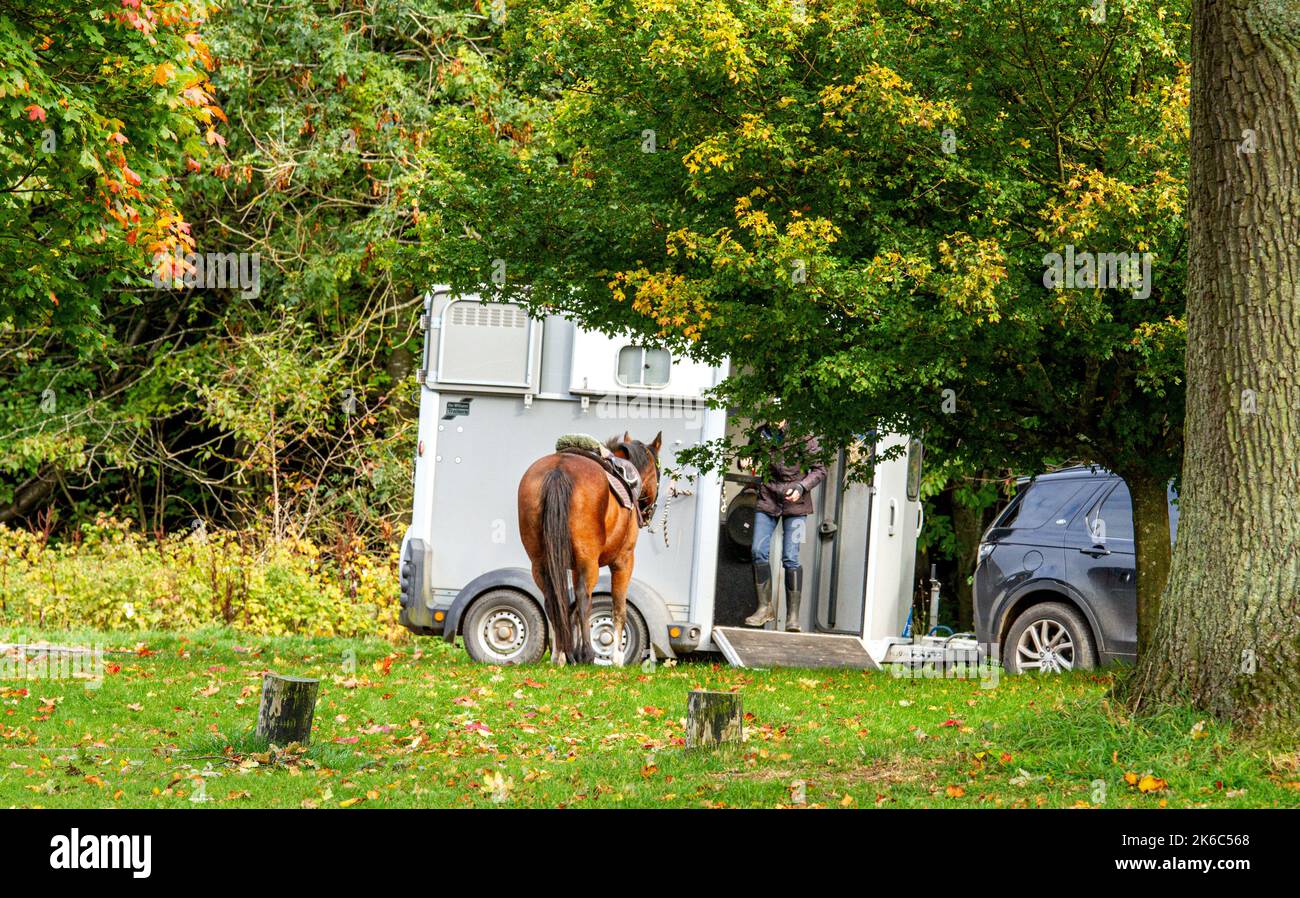 Dundee, Tayside, Scozia, Regno Unito. 13th ottobre 2022. UK Weather: Il nord-est della Scozia sta vivendo un ottobre freddo e soleggiato, con temperature che si aggirano intorno ai 10°C. Gli alberi del Camperdown Park and Wildlife Centre di Dundee iniziano a diventare colori autunnali. I residenti locali e gli escursionisti di cani si godono il bel tempo trascorrendo la giornata nel parco e ammirando il paesaggio autunnale. Credit: Dundee Photographics/Alamy Live News Foto Stock