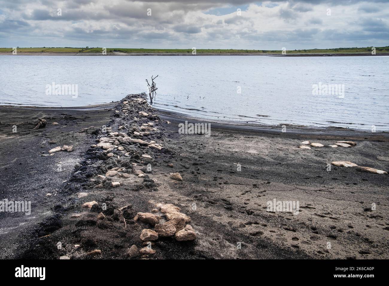 I resti di una vecchia siepe della Cornovaglia esposti dalla caduta dei livelli dell'acqua causata da condizioni di siccità gravi al lago Colliford Reservoir su Bodmin Moor in Foto Stock